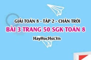 Bài 3 trang 50 Toán 8 Tập 2 Chân trời sáng tạo